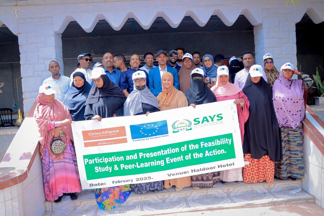 About SAYS-ORGANIZATION